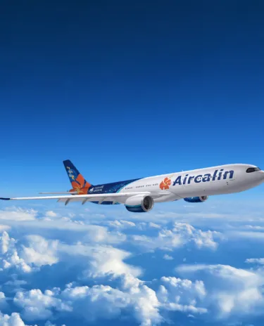 Avion en vol Montage avion en vol