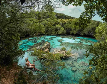 Maré-Aquarium naturel Maré-Aquarium naturel